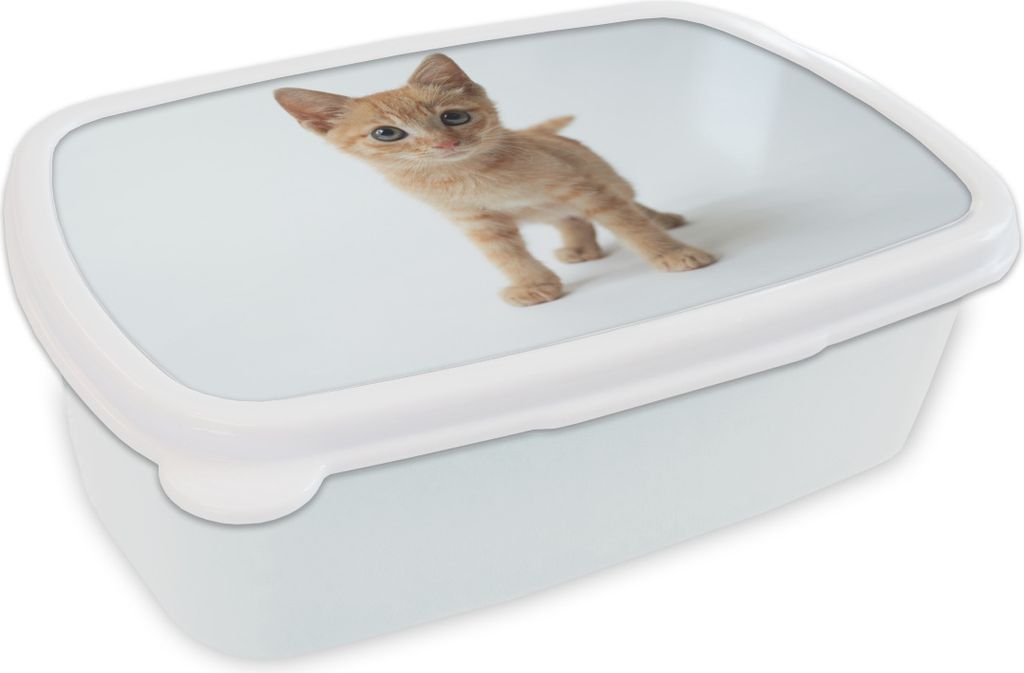 KitchenYeah Lunchbox Brotzeit Brotdose 17x11 cm Katze - Rot - Kätzchen - Mädchen - Kinder - Kinder - Kind Kinder Brotzeitdose - Lunch Box - Kin...