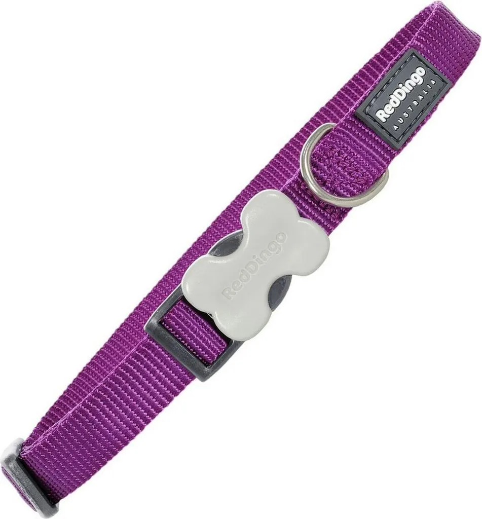 Collare Cani Red Dingo Viola 15mm: Resistente e Regolabile (24-36 cm)