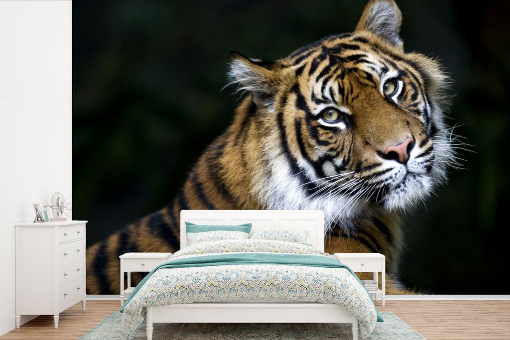 MuchoWow Fototapete für Wohnzimmer oder Schlafzimmer Wandtapete Vinyl Motivtapete Tiger - Porträt - Schwarz - 600x400 cm - Vinyltapeten