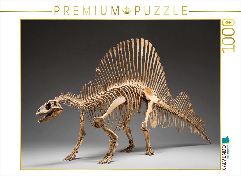 CALVENDO Puzzle Dinosaurier Spinosaurus-Skelett mit langem Kiefer und Rückensegel | 1000 Teile Lege-Größe 64x48cm Foto-Puzzle für glückliche S...