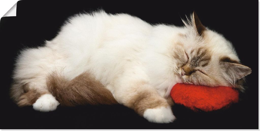 ARTland Poster Müde Katze Größe: 60x30 cm