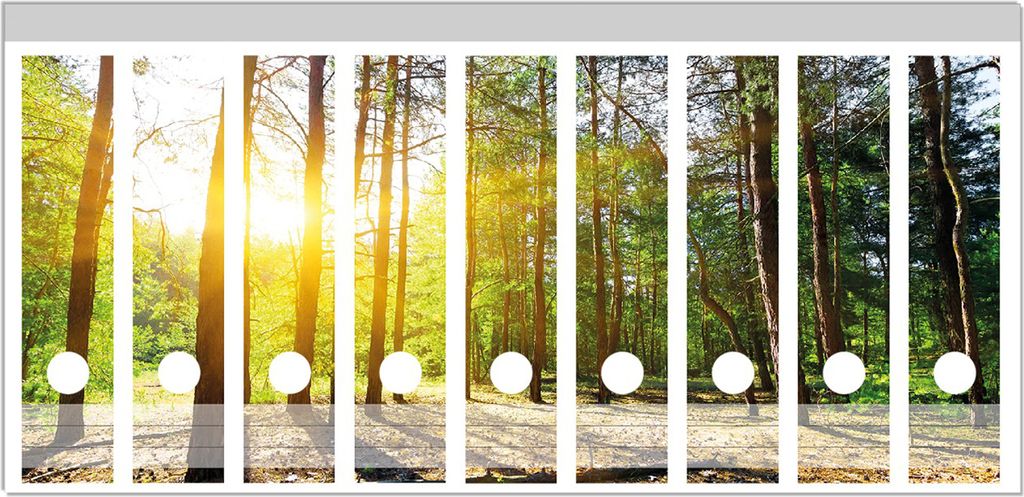Wallario Ordnerrücken Sticker, selbstklebend für breite Ordner, 9 Stück, Motiv Sonnenstrahlen tief hinter dem Wald