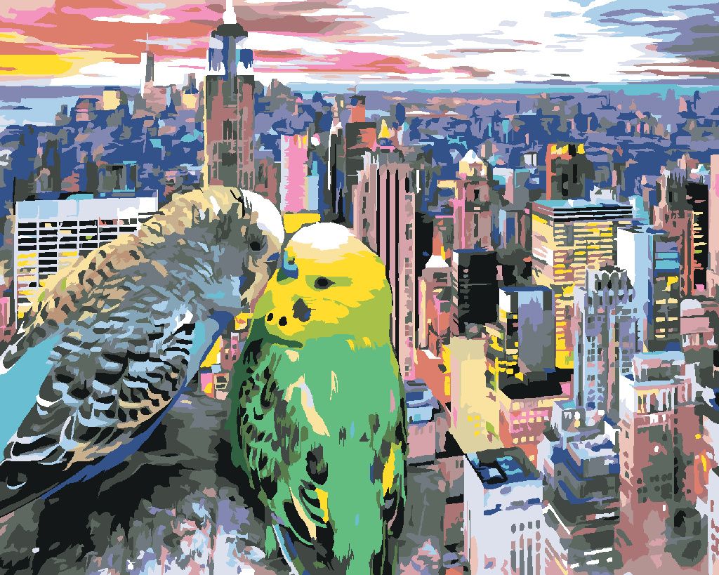 Zuty - Malen nach Zahlen - ZWEI VERLIEBTE SITTICHE IN NEW YORK, 40x50 cm, mit Keilrahmen (bereits gespannt)