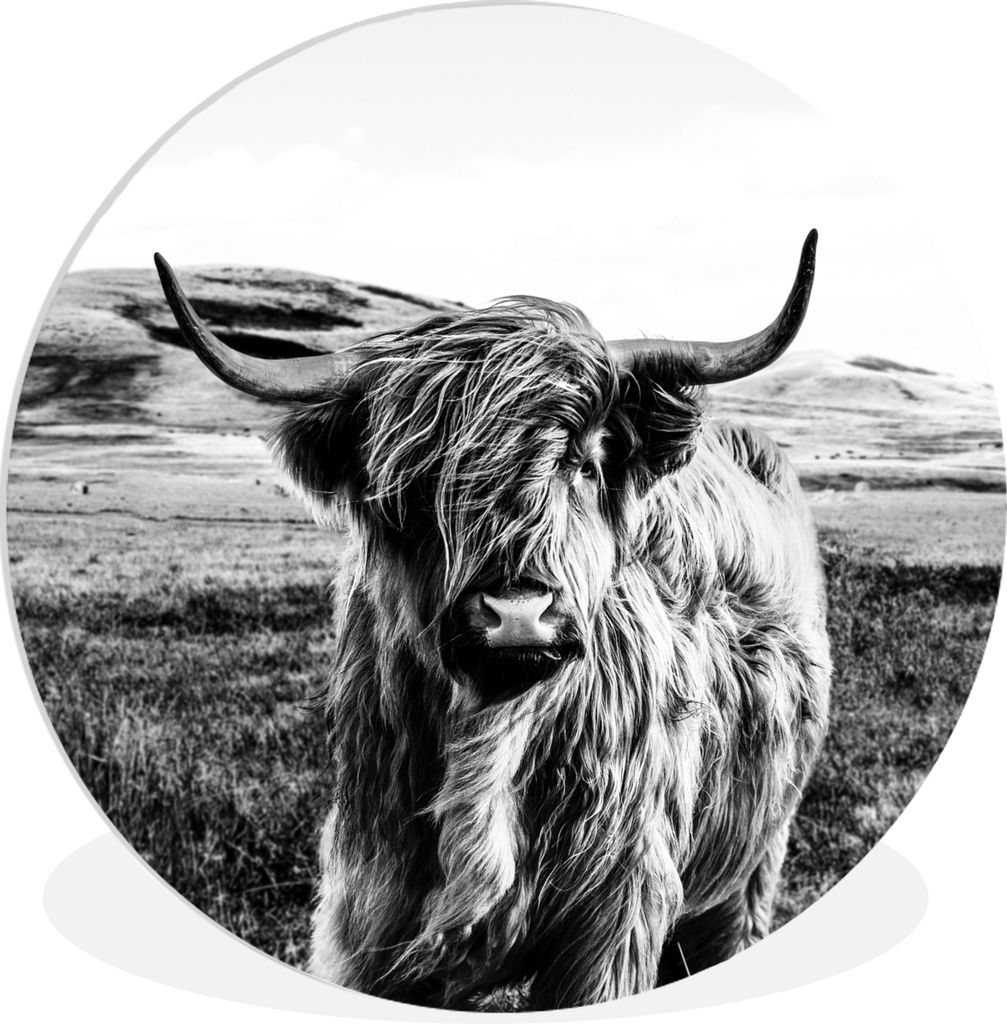 MuchoWow Rundes Wandbild - Runde Bilder Schwarz - Weiß - Schottischer Highlander - Gras Ø 30 cm Kreis Wanddekoration Kunststoff - Wandkreis - W...