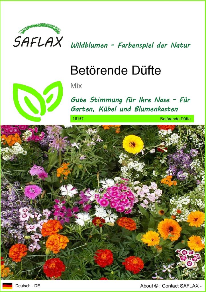 SAFLAX - Wildblumen: Betörende Düfte - 1000 Samen - 18 Wildflower Mix