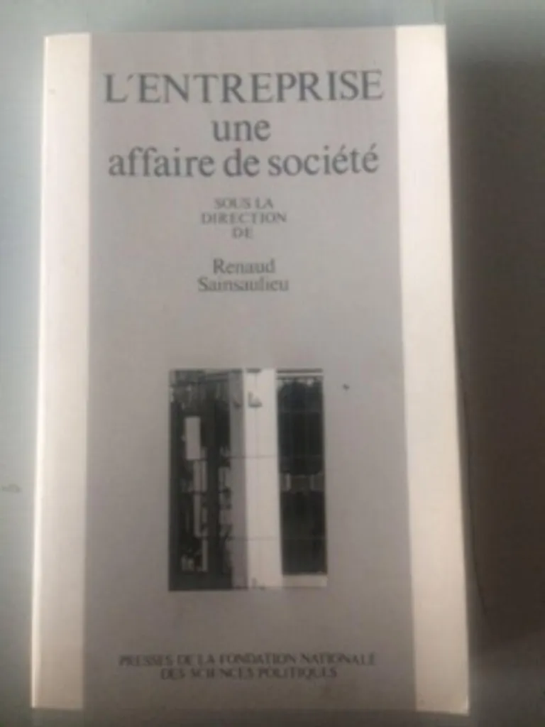Livre de sociologie Entreprise : une affaire de société pour experts