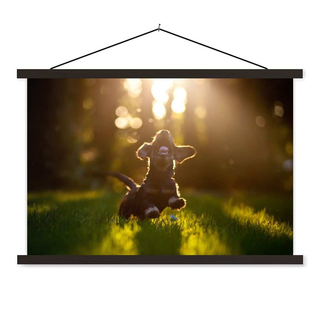 MuchoWow Textilposter Welpe läuft im Gras 90x60 cm mit schwarzem Rahmen - Aufhängungssatz