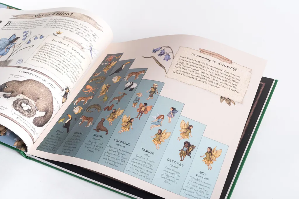 Das große Handbuch der Elfen - Encyclopédie illustrée du petit peuple - 5