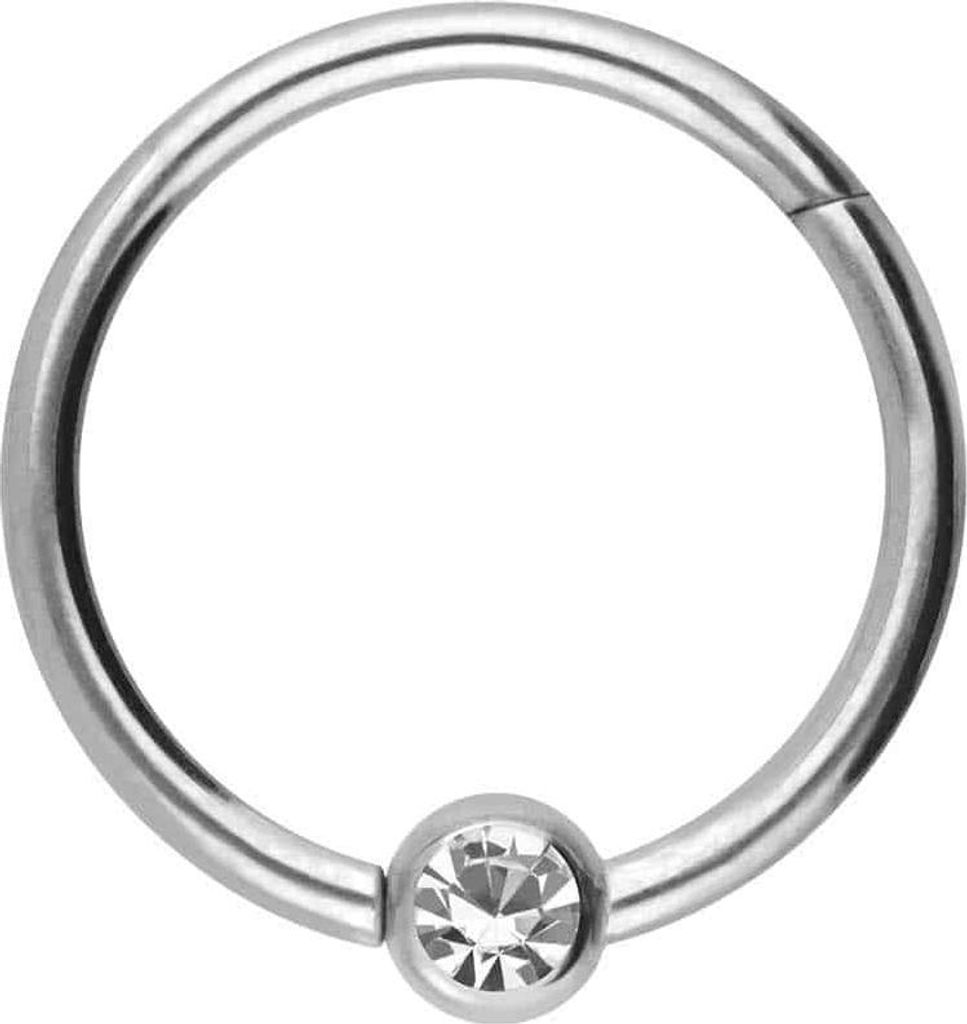 Ohrpiercing, Nasenpiercing, Septum Piercing Titan Segmentring Clicker KRISTALL Silber Innendurchmesser: 10 mm