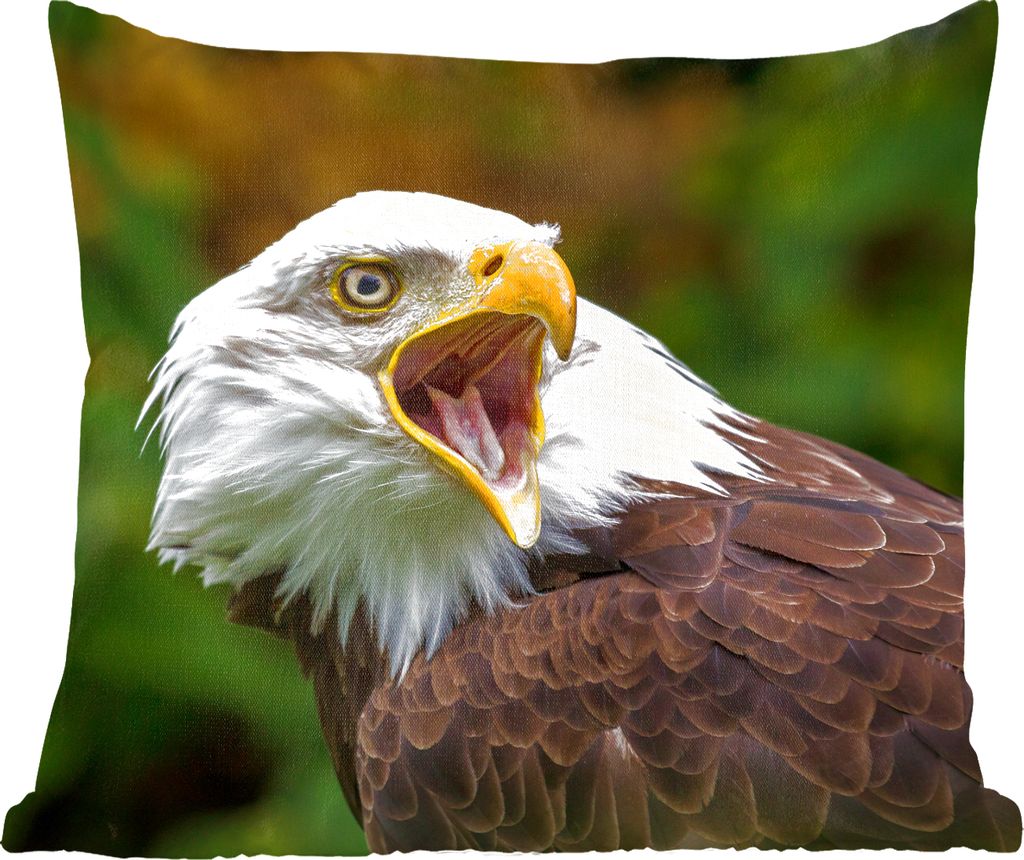 MuchoWow Zierkissen Sofakissen Wohnzimmer Dekokissen 60x60 cm Ein krächzender Weißkopfseeadler - Sitzfläche - Foto Polster