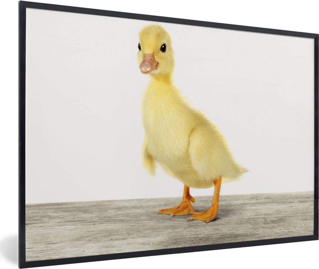 MuchoWow Gerahmtes Poster Ente - Küken - Tiere - Süß - Mädchen - Jungen - Kinder 60x40 cm - Poster mit Schwarzem Bilderrahmen Wandposter Rahm...