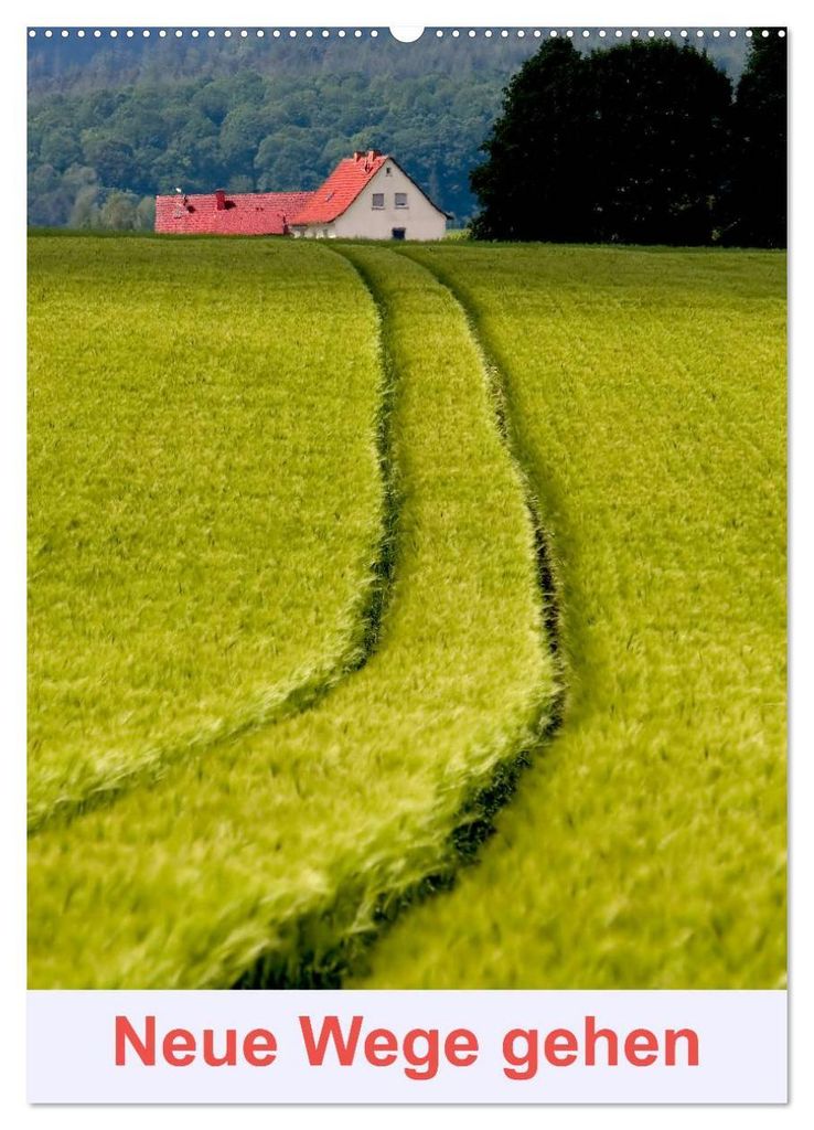 Neue Wege gehen (Wandkalender 2027 DIN A2 hoch), CALVENDO Monatskalender