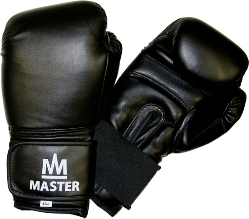 Boxovacie rukavice MASTER TG12 Obrázok produktu 