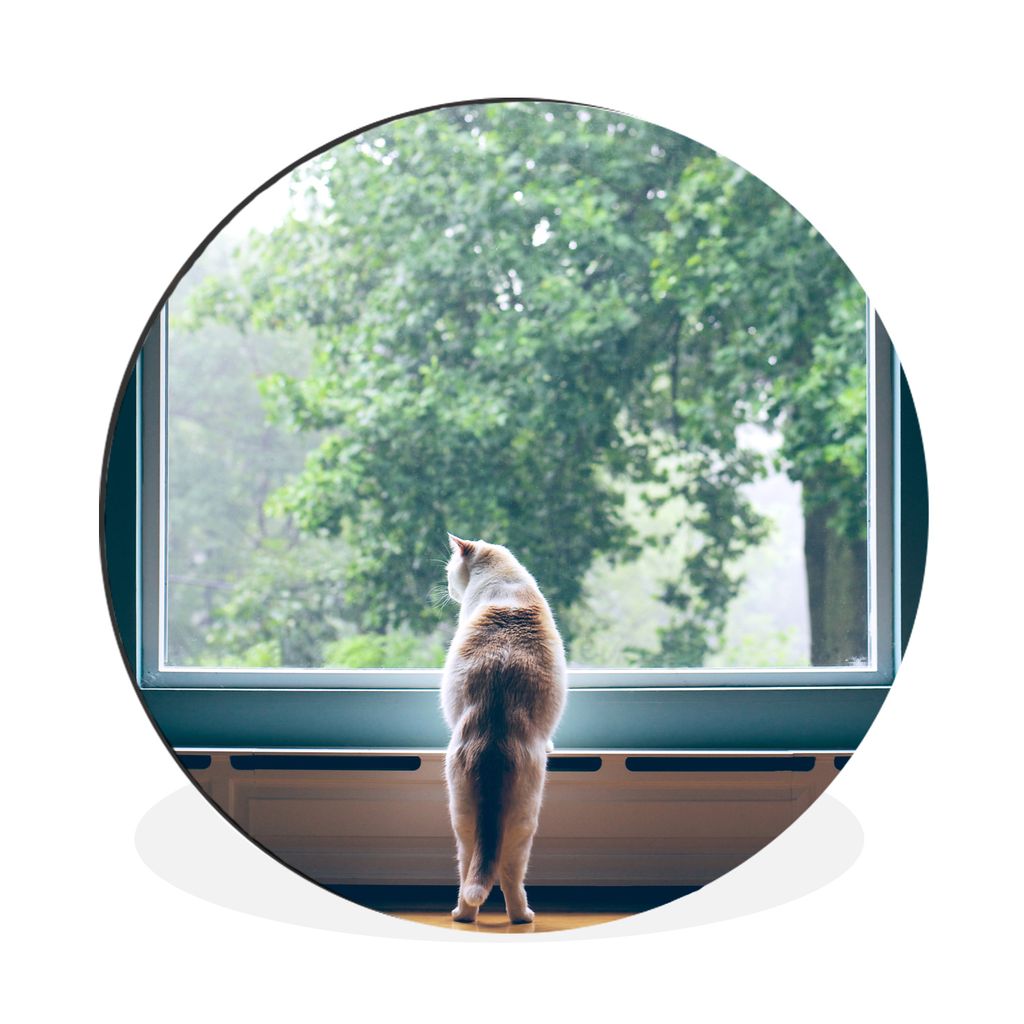 MuchoWow Aluminium Wandkreis Katze - Fenster - Pflanzen Ø 60 cm Wanddeko Modern Wohnzimmer - Wand Kreis - Wandbild - Schlafzimmer - Aluminium Bi...