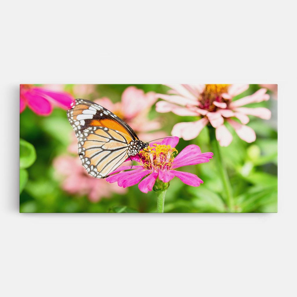 ARTHUB Leinwandbild 60x120 cm, Daylight Butterfly | Wohnzimmerdekoration, Hängende Bilder, Wanddekoration, Heimdekoration, Blumen, Blumen in der...