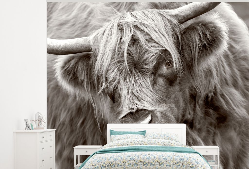 MuchoWow Fototapete für Wohnzimmer oder Schlafzimmer Wandtapete Vinyl Motivtapete Schottischer Highlander - Schwarz - Weiß - Hörner - 325x260 ...