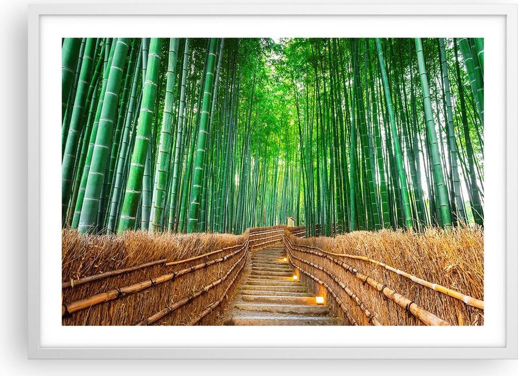 Gerahmtes Poster - Weißer Rahmen - Bambus Pflanze - 70x50 cm - Wand Bild - Wanddeko - Wandbilder - Kunstposter - Wandposter - Bilderrahmen - Bilde...