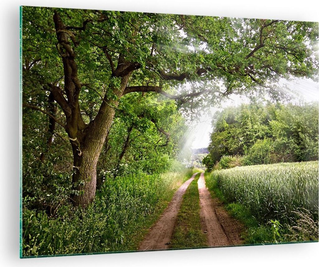 Bilder auf glas - Pfad Natur Wald Grün - 70x50cm - Glasbilder - Wandbilder - Kunstdruck - zum Aufhängen bereit - Wanddekoration aus Glas - Glas B...