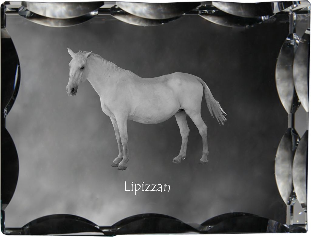 Lipizzaner - crystal with a picture of a horse, glass statuette with a picture, unique frame with a picture from Art-Dog brand
