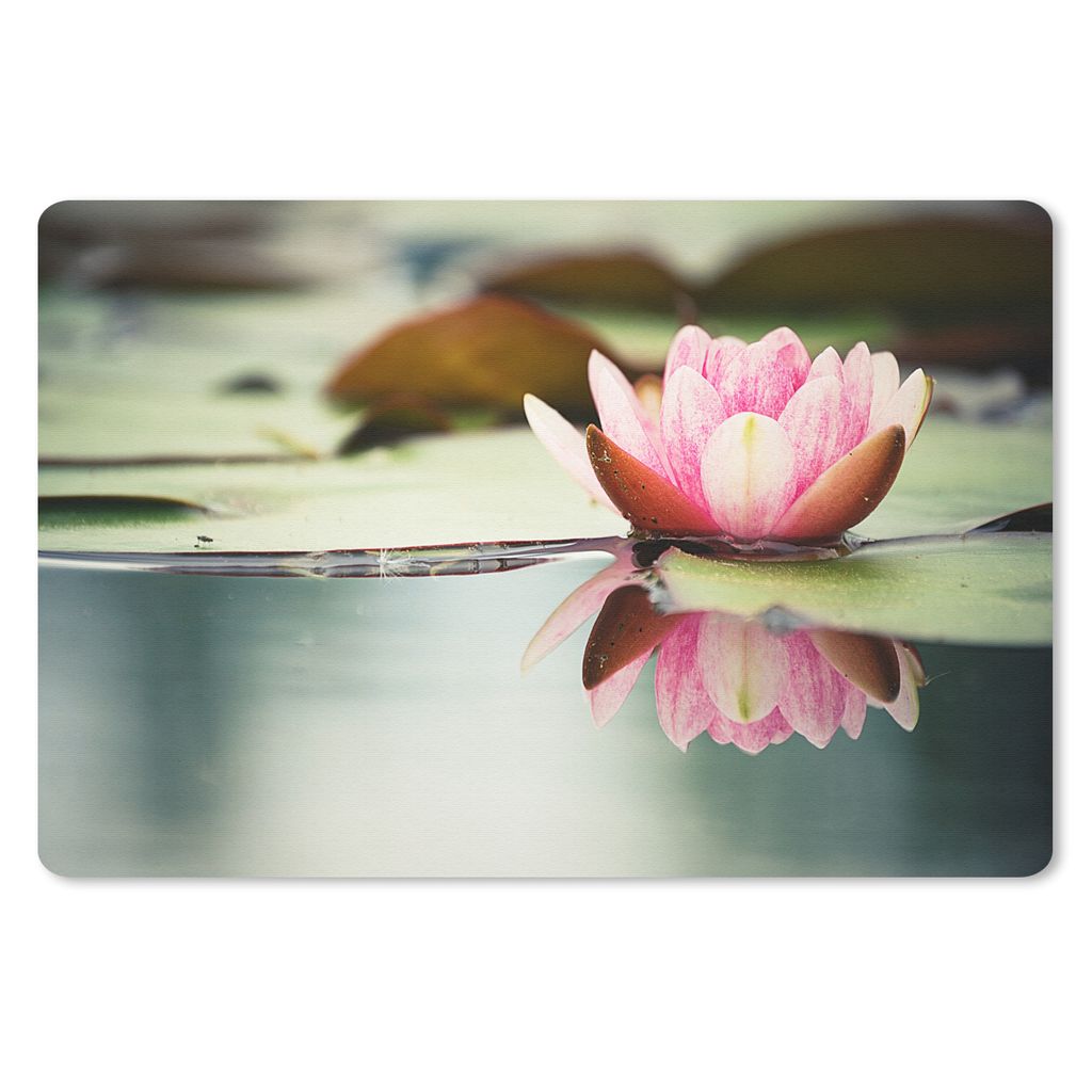 MuchoWow Schreibtischunterlage Seerose - Blumen - Wasser 60x40 cm - XXL Mauspad - Großes Mauspad