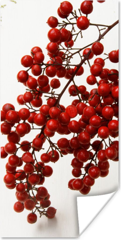 MuchoWow Poster Beeren - Stilleben - Rot 75x150 cm - Dekoration für die Wände