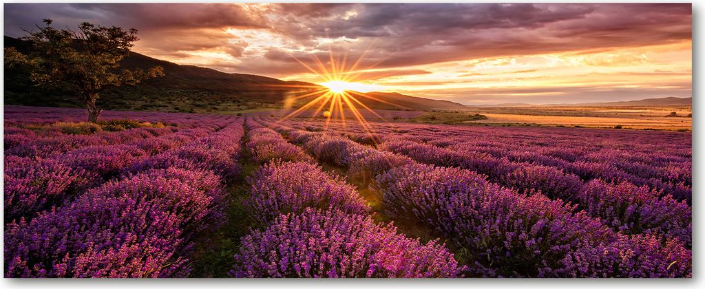 Tulup Glas-Bild Wandbild aus Glas - 125x50 - Wandkunst - Wandbild hinter gehärtetem Sicherheitsglas - Dekorative Wand für Küche & Wohnzimmer ...