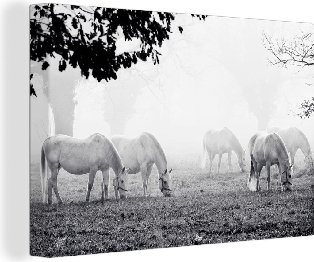 OneMillionCanvasses - Leinwandbilder - 140x90 cm, Pferde - Lipizzaner - Schwarz - Weiß, Wandbilder Kunstdruck Wanddekoration