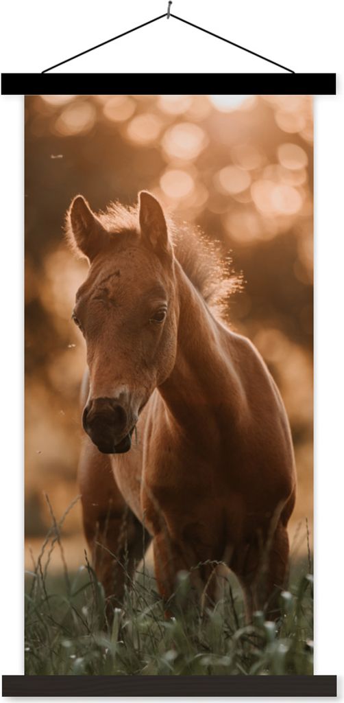 MuchoWow Textilposter Pferd - Licht - Landschaft 90x180 cm mit schwarzem Rahmen - Dekoration Wohnzimmer
