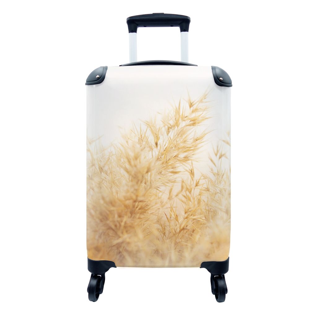 MuchoWow Koffer Handgepäck Trolley Rollkoffer Kleine Reisekoffer mit 4 Rollen - Pampasgras - Sonne - Gras - Cabin Size < 55x40x23 cm & 55x40x20 ...