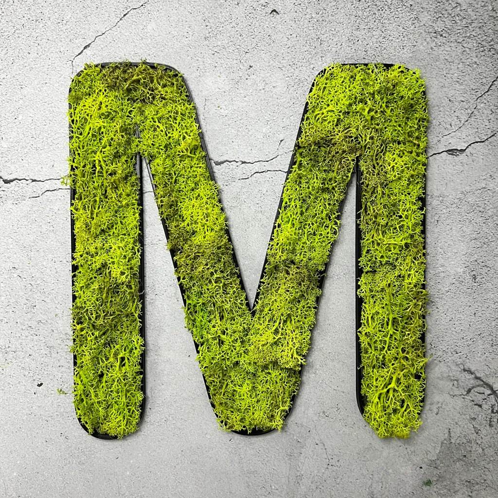 Lettera M in Vero Muschio d'Islanda Stabilizzato | Eco-Decor Verde