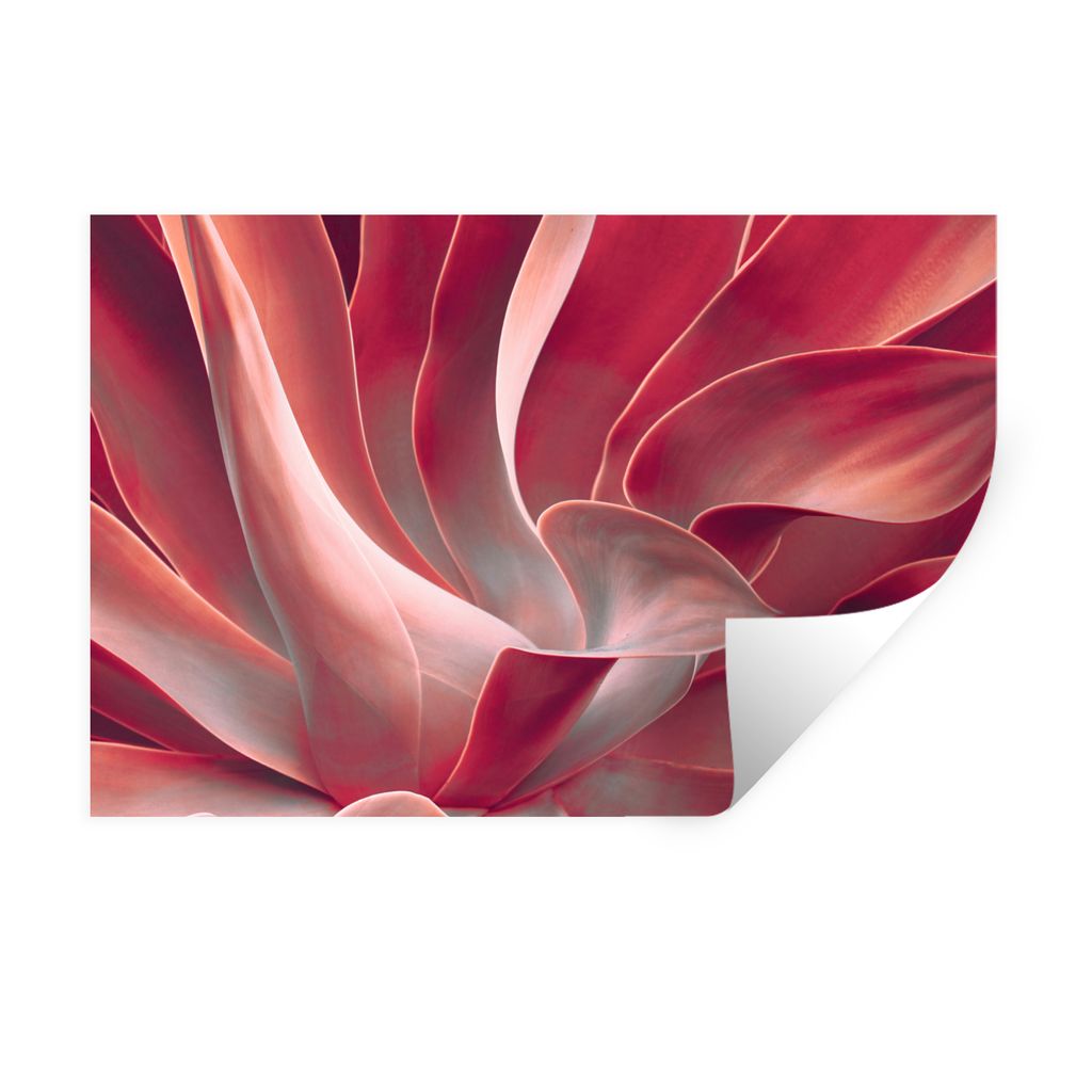 MuchoWow Wandtattoo Wandsticker Wandaufkleber Stilleben - Blätter - Pflanze - Rosa 60x40 cm Selbstklebend und Repositionierbar - Wierderverwendb...