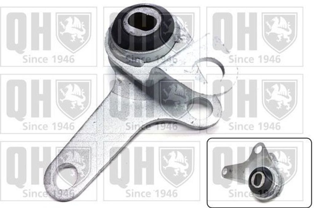 QUINTON HAZELL Motorlager Gummimetalllager für FIAT 500L (351, 352) EM4797