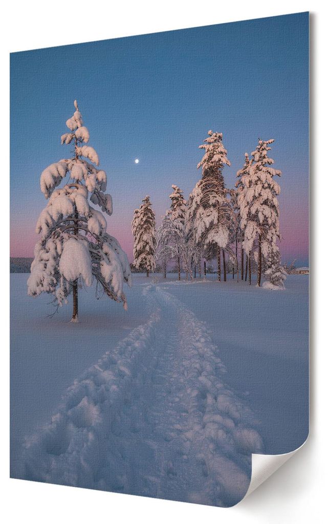 Winterlandschaft- Kunstdruck A4 - Klassisch, Modern- Wandbild für Wohnzimmer Schlafzimmer & Flur, Modernes Poster Wanddeko, Ungerahmt