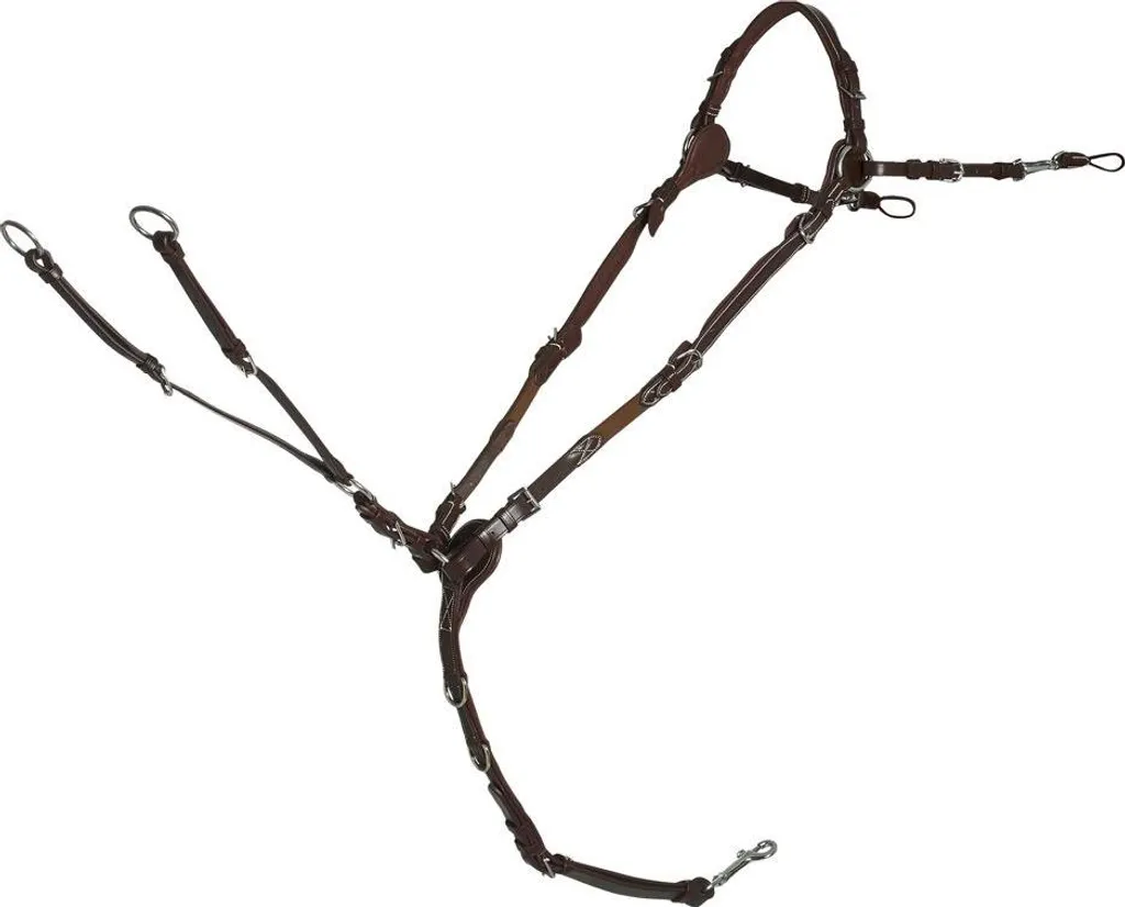 Collier de Chasse en Cuir Sevilla Select Espresso pour Chevaux Taille VB