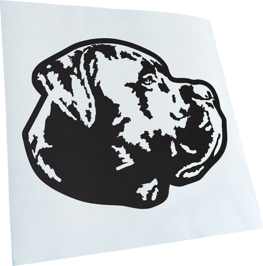 Kiwistar - Autoaufkleber - Cane Carso Hund - Mattschwarz - 40x31cm - Aufkleber für Auto, Laptop, Fahrrad, LKW, Motorrad mehrfarbig JDM Decal Racing