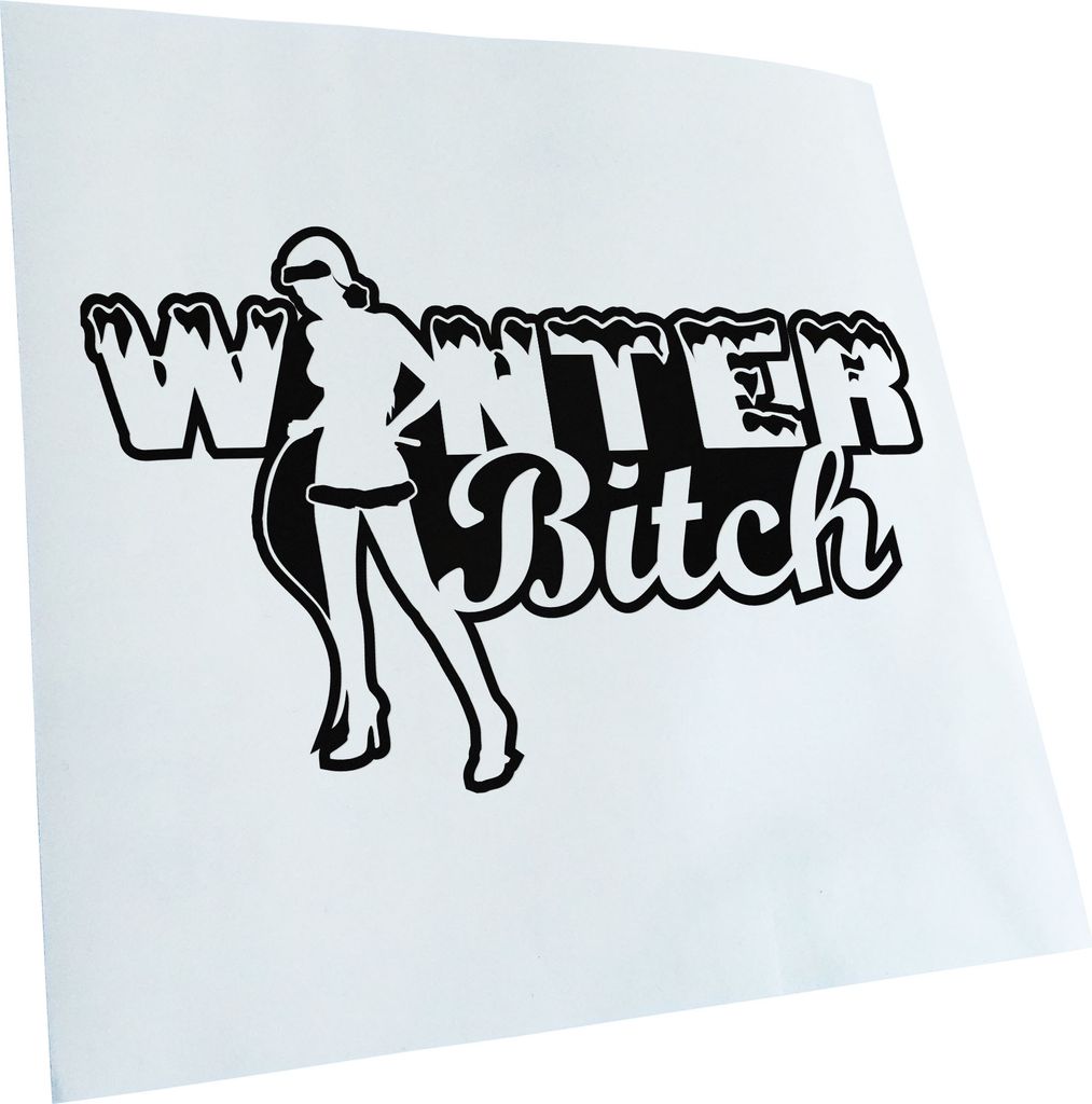 Kiwistar - Autoaufkleber - -Winter Bitch Design 1 Heckscheibenaufkleber - Aufkleber für Auto Kfz Fahrrad, LKW, Truck Mofa