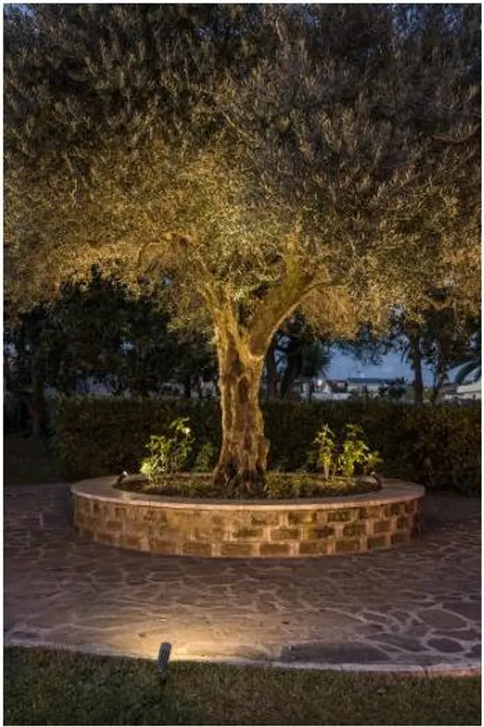 Spot de Jardin LED 3000K Fixe - Solution Éclairage Durable 227505 IP65 - 9