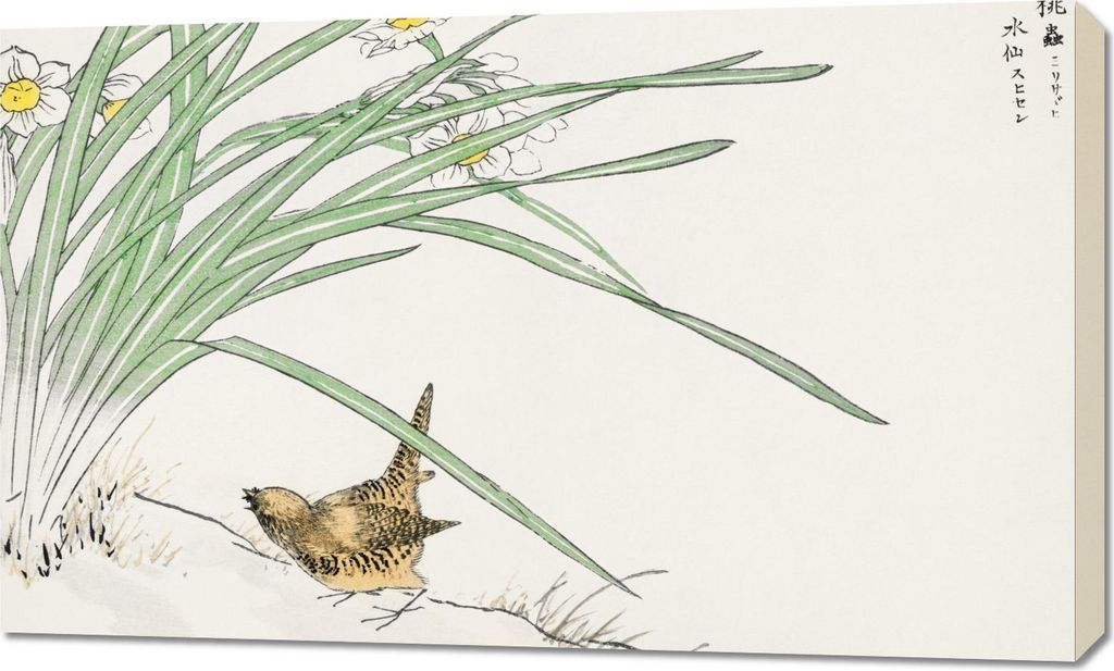 Bild 100x60cm Wren und Narzisse. Japanischer Vintage Kashu