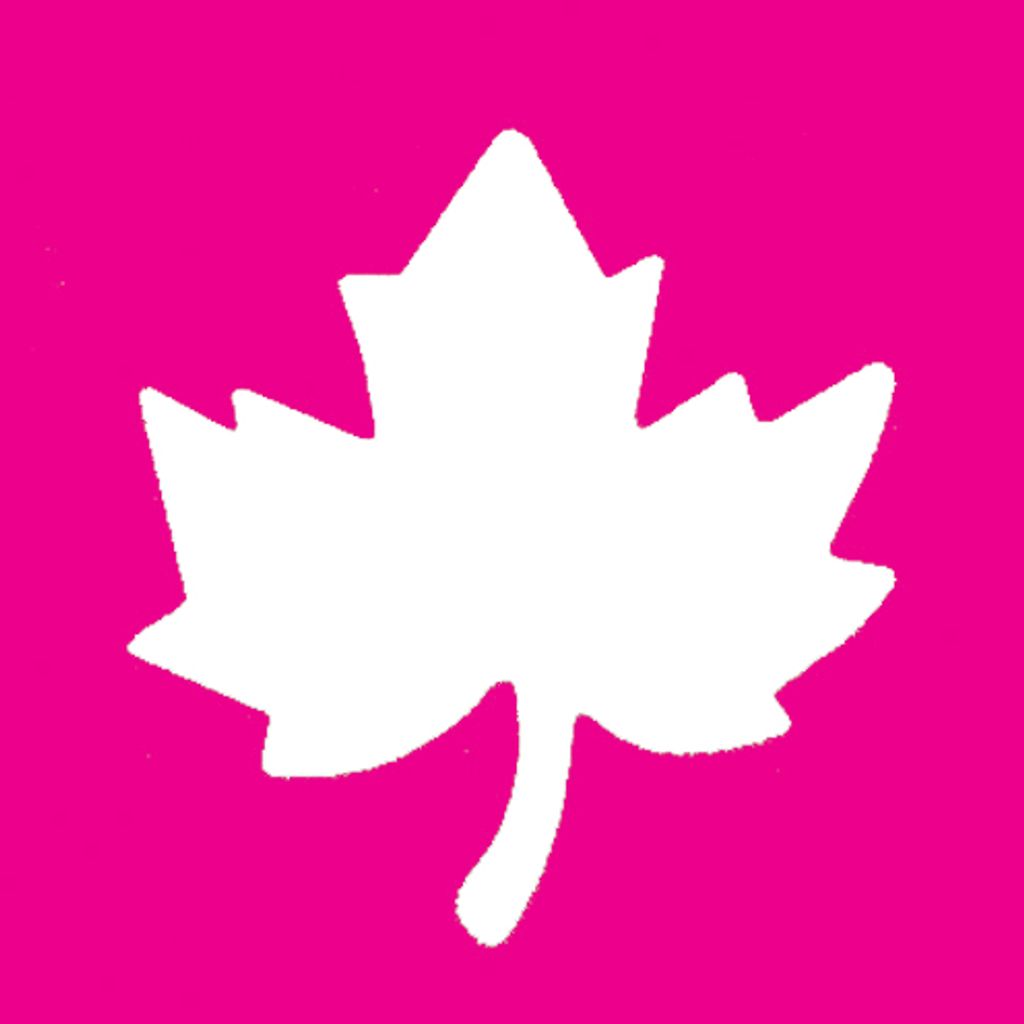 Efco 1791022, Form Handwerksstanze, Pink, 124 g, 1 Stück(e)