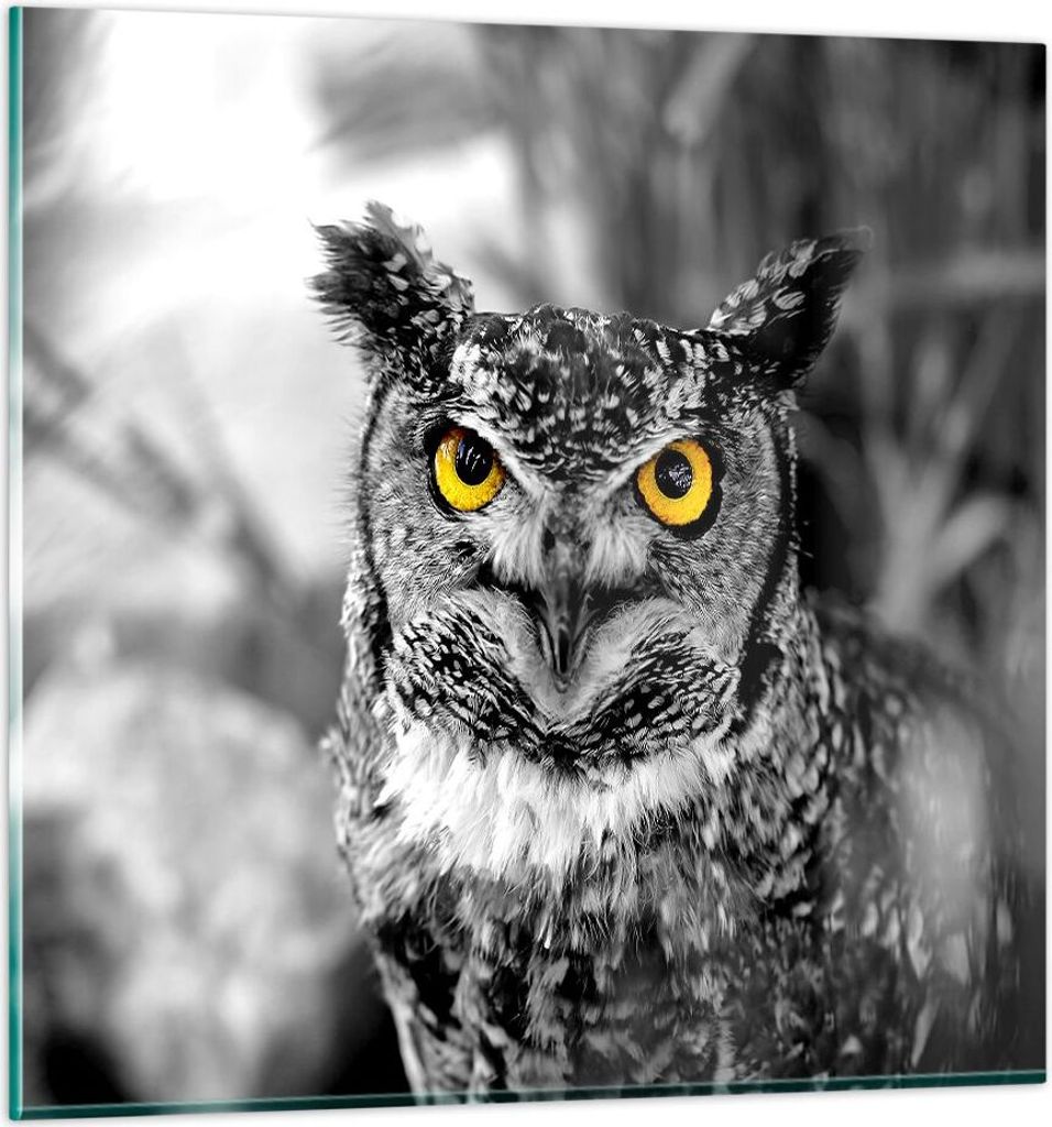 Bilder auf glas - Eule Vogel Natur - 30x30cm - Glasbilder - Wandbilder - Kunstdruck - zum Aufhängen bereit - Wanddekoration aus Glas - Glas Bilder...