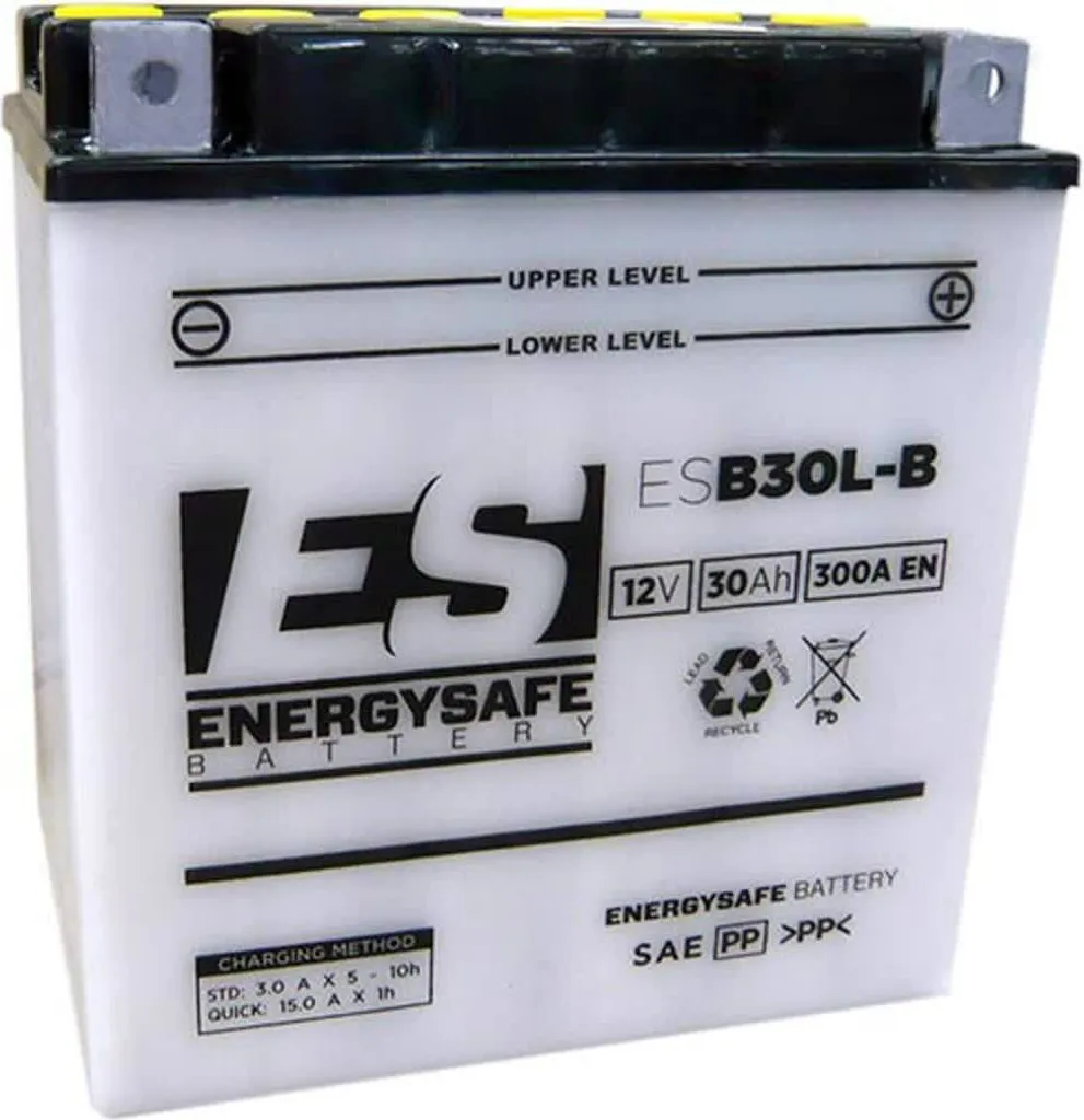 Batterie 12V 30Ah Energysafe ESB30L-B - Grande Capacité et Durabilité