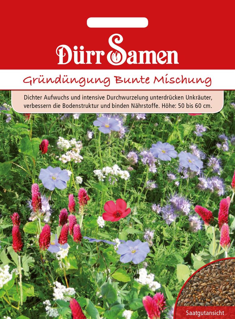 Artikelbild 1 von 'Gründüngung Bunte Mischung 500g' aus der Kategorie Gründünger & -düngung