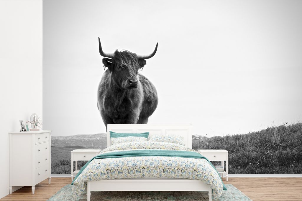 MuchoWow Fototapete für Wohnzimmer oder Schlafzimmer Wandtapete Vinyl Motivtapete Tiere - Schottische Hochlandbewohner - Schwarz und weiß - Nat...