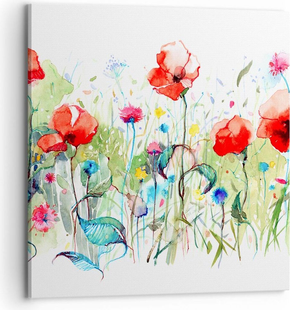 Bild auf Leinwand - Leinwandbild - Blumen Wiese Blatt Natur Produktbild 