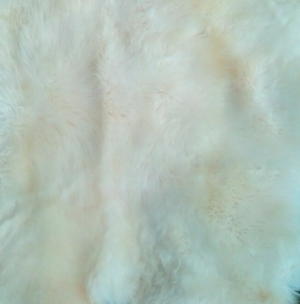 Tapis Peau de Mouton XXL pour Salon et Chambre - Confort Blanc 110x110
