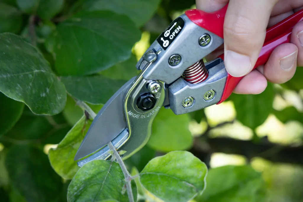 Sécateur professionnel ARS Enclume VA-7Z : l'outil de coupe haute précision - 13