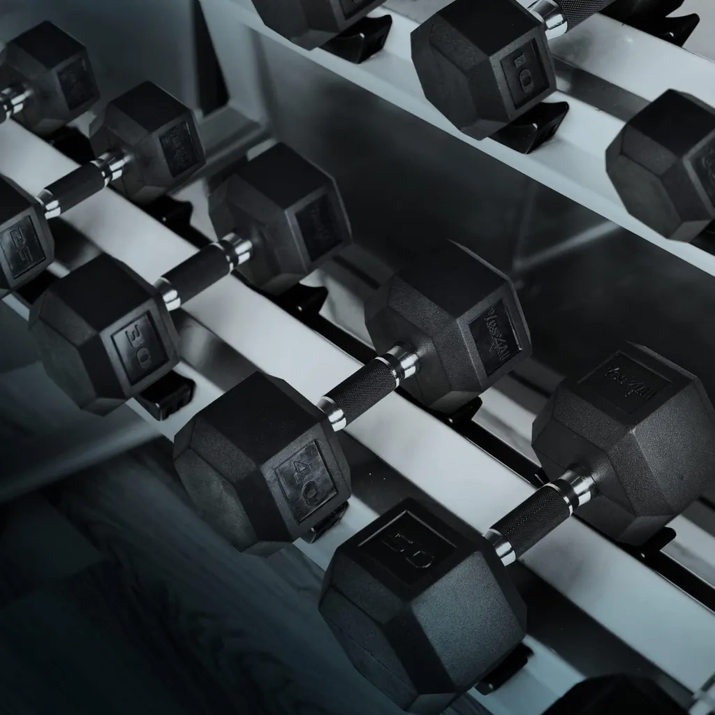 Haltère de 45 kg pour musculation intensive et renforcement de la force