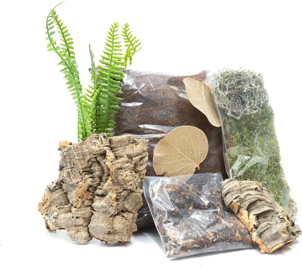 Kit Spider Maker L : Solution pour le Tissage Difficile des Grandes Araignées