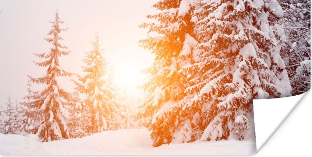 MuchoWow Poster Sonne - Bäume - Schnee 150x75 cm - ohne Rahmen