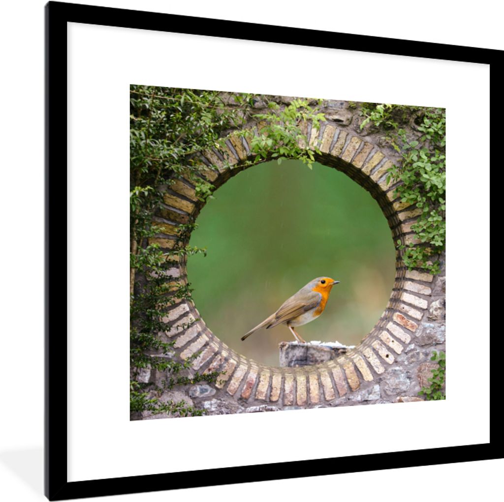 MuchoWow Gerahmtes Poster Vogel - Durchblick - Rotkehlchen 40x40 cm - Poster mit Schwarzem Bilderrahmen Wandposter Rahmen Foto Bilder - Poster - ...